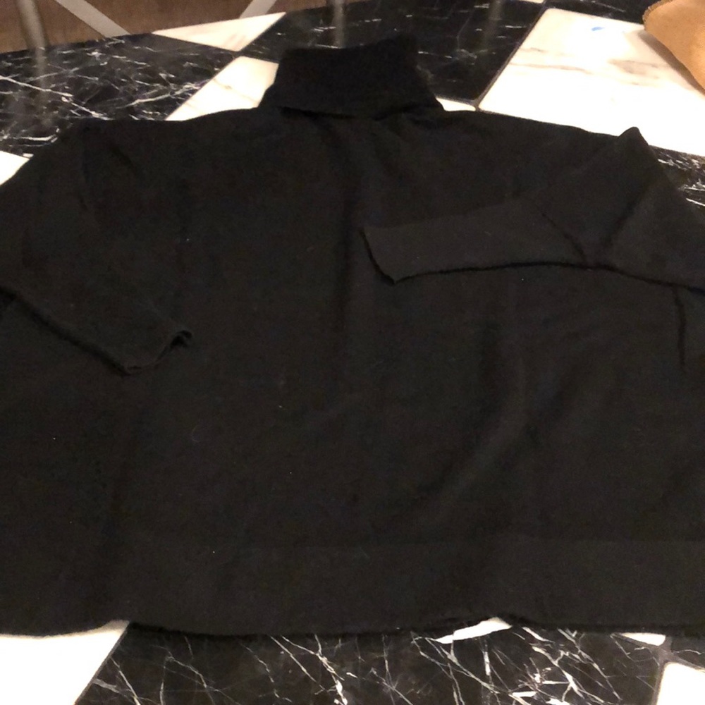 Final price🙏🏻Joie awesome turtleneck sweater
